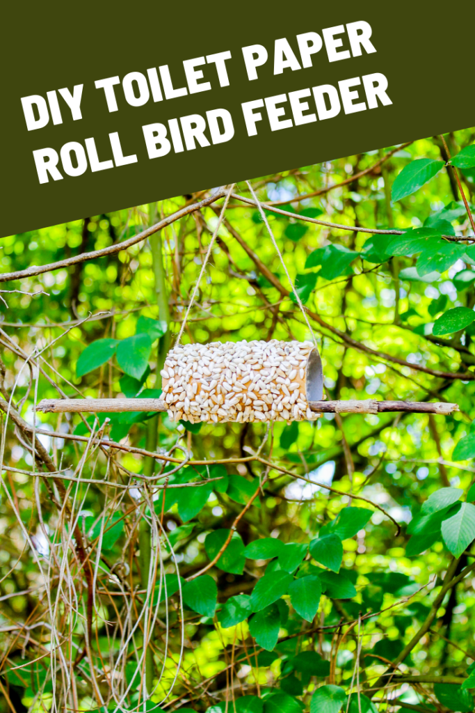 Bird feeder craft project for kids