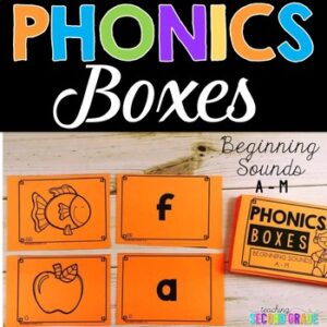 Beginning Sounds Phonics Boxes ELA Task Cards