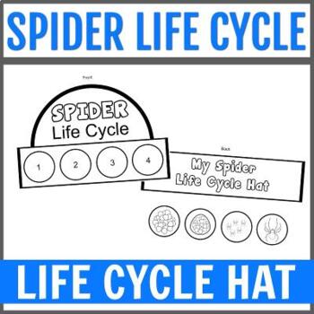 Spider Life Cycle Hat