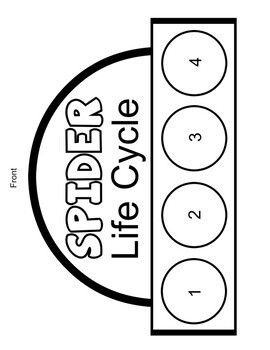 Spider Life Cycle Hat - Image 2