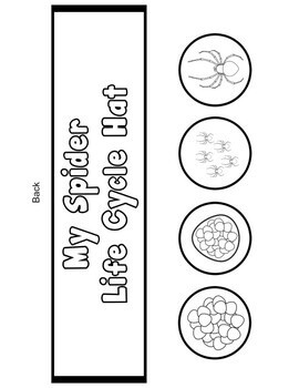 Spider Life Cycle Hat - Image 3