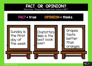 Fact and Opinion Google Slides - Image 3