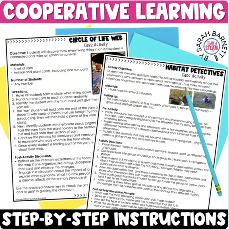Ecosystem STEM Activities - Image 2