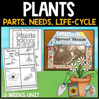 All About Plants | Parts of Plants | Kindergarten 1st Grade Unit