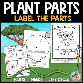 All About Plants | Parts of Plants | Kindergarten 1st Grade Unit - Image 2
