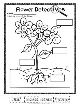 Spring Writing Math Unit for Kindergarten | First Grade - Image 2