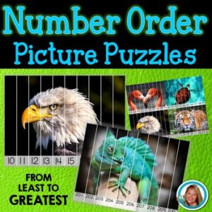 Number Ordering Picture | Picture Puzzles