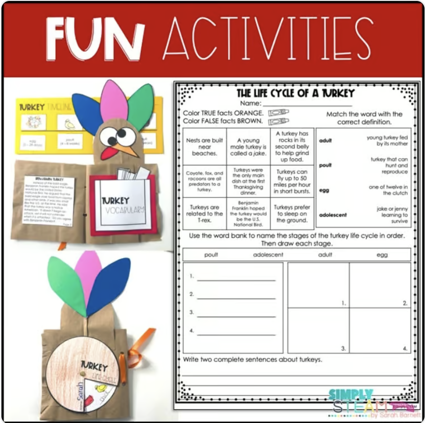 Turkey Life Cycle Activities Thanksgiving Science and Literacy - Image 4