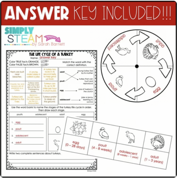 Turkey Life Cycle Activities Thanksgiving Science and Literacy ...