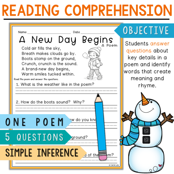 January Reading Comprehension 1st 2nd Grade | Winter Passages ...
